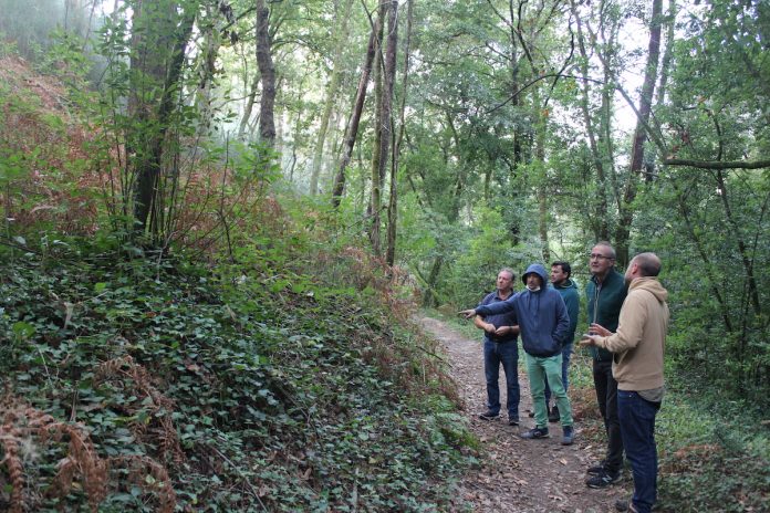 primer_parque_forstal_nigran