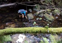 Gondomar se suma a la limpieza voluntaria de ríos