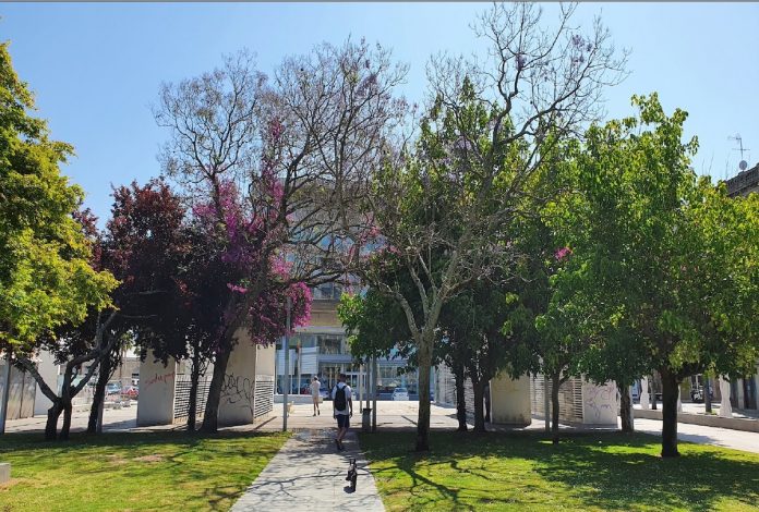 Puerto de Vigo arboles