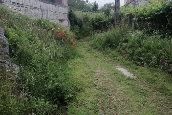 camino_serra_vincios