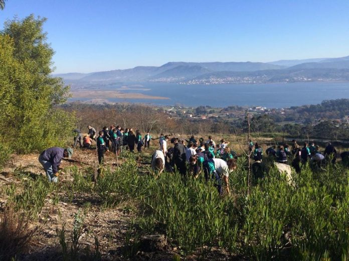 alumnos acacia Monte Santa Trega