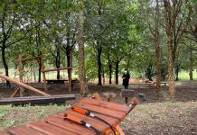 O Rosal inaugurará el “Ecoparque do Sobreiral” con un magosto