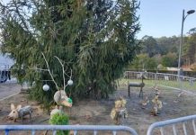La Asociación Eixotolo enciende este lunes el árbol de Navidad