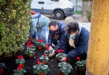 Usuarios de la Asociación Avelaiña decoran la “Praza das Escolas Vellas” de Gondomar