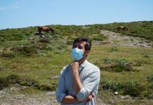 Galicia en Común pregunta en el Congreso por el descenso de caballos salvajes en los montes gallegos