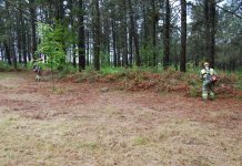 Nigrán recuerda a los propietarios la obligación de limpiar las fincas forestales antes del 31 de mayo