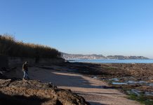 Nigrán habilitará dos playas para que los perros paseen todo el año