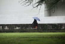 Ayudas para universitarios con dificultades económicas para continuar estudios en este curso