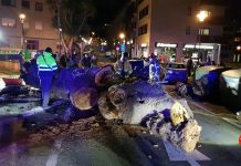 O BNG solicita que se investiguen as razóns que provocaron a caída dunha árbore sobre un coche en Gondomar