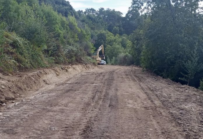 pista_forestal