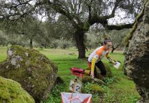 Torroña acogerá el Campeonato Gallego de Orientación larga distancia