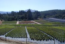 La UVigo desarrollará en Tomiño una jornada de transferencia de conocimiento con acuBam
