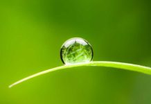 Concurso fotográfico por el Día Mundial del Agua en A Guarda