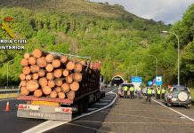 Interceptan en la A-52 un camión de madera con 20.000 kilos de más
