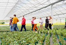 La UVigo y el sector de la hortofloricultura del Baixo Miño inician una senda de colaboración