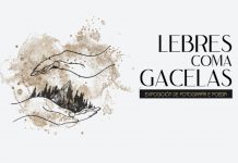 Tui acoge la exposición “Lebres coma gacelas” que mezcla palabras e imagen, poesía y fotografía
