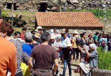 XXII Romería «Os nosos fariñeiros. Burros e Muíños» en Tui