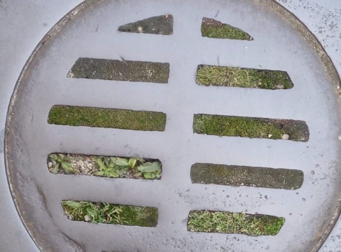 alcantarilla tui c21