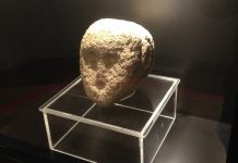 Jornada de puertas abiertas en el Museo Arqueológico de Santa Trega