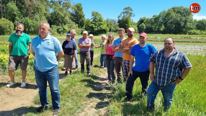 ganaderos jabalies rosal