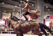 XIX Romería del Caballo en Ribadelouro