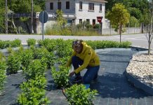 El “viveirismo” estará representado en cinco rotondas de Tomiño