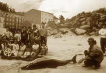 Charla sobre la historia de la CEMMA