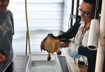 Maica Larriba anuncia una ayuda del MITECO de 400.000 euros para la CEMMA