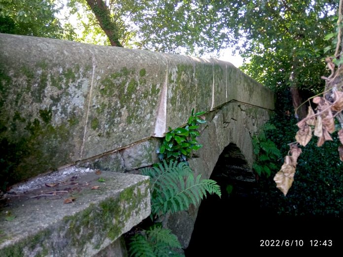 ponte animas1
