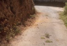 C21 solicita que se intervenga contra el deplorable estado del Camiño do Castro en Ribadelouro