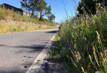 A Entidade Local Menor de Camposancos insta a Xunta a limpeza da estrada da circunvalación