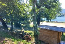 La playa de Areeiros se cerrará mañana para realizar una poda preventiva de los árboles más altos