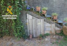 Investigan a un vecino de Gondomar por un delito de maltrato animal