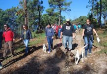 Ruta canina por Monteferro