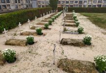 El Cementerio Municipal de Tui, preparado para la celebración de Todos los Santos