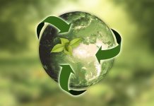 Ecoyouth impulsa la sostenibilidad en O Porriño con actividades dirigidas a la juventud