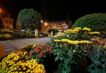 Nigrán engalana los dos únicos cementerios municipales de cara a la festividad de difuntos
