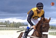 El jinete tomiñés Roberto Pérez gana el Gran Premio Wathba Stallions Cup PRA