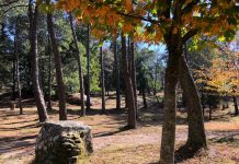 Recorre «O Rego de Pedra» con A Fada do Aloia