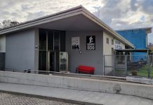 Últimas plazas para el campamento de verano de Serviocio Valmiñor