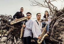 El Lítore Quartet estrenará en Tui la obra contemporánea Lux Glaciei en Música no Claustro