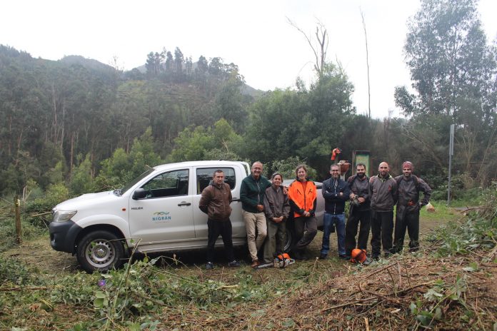 parque forestal matos taboas