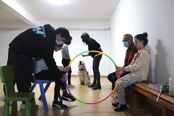 terapia canina juan maria