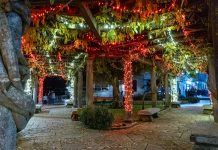 Tui despide el año con una intensa actividad de Navidad