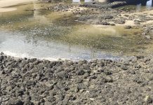 Podemos insta al Concello a hacer públicos los datos del informe de contaminación de A Foz do Miñor