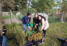 Tomiño vuelve llenar de vida autóctona su monte