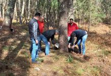 La Xunta destina 9 M€ en ayudas para inversiones en tecnología y maquinaria forestal