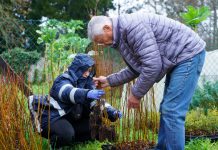 Tomiño entrega las primeras plantas de la nueva edición de ‘Enche o teu monte de vida autóctona’