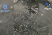 Desarticulan una organización criminal que traficaba con angulas del Río Miño