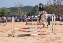 La tradicional Feira Cabalar de San Telmo se celebrará durante dos días